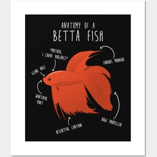 Betta Fish Anatomy Posters and Art